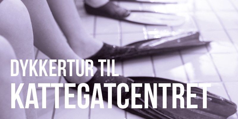 beviser_dykning_kattegatcentret