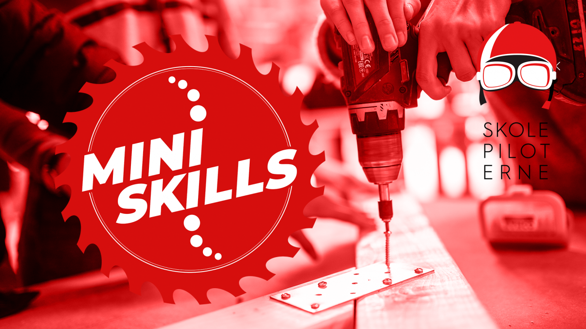 skolepiloterne_miniskills